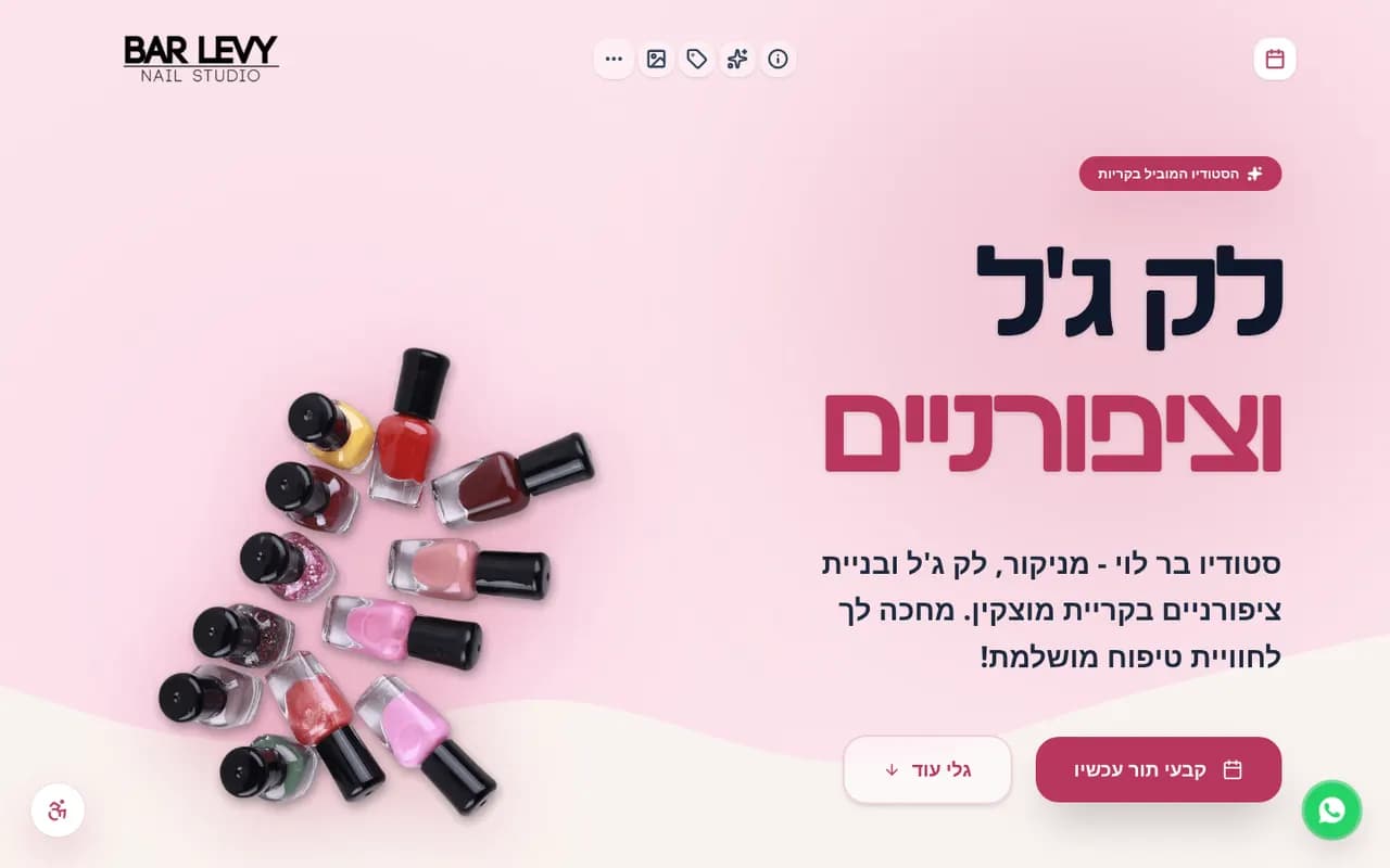 עמוד הבית של בר לוי סטודיו