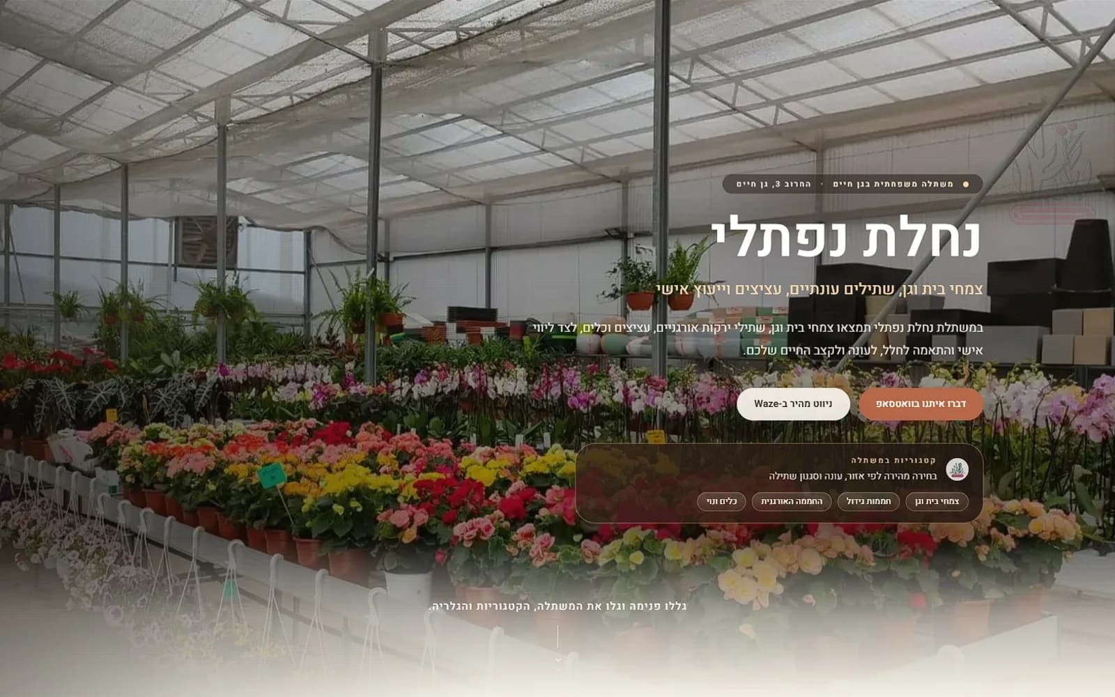 עמוד הבית של נחלת נפתלי